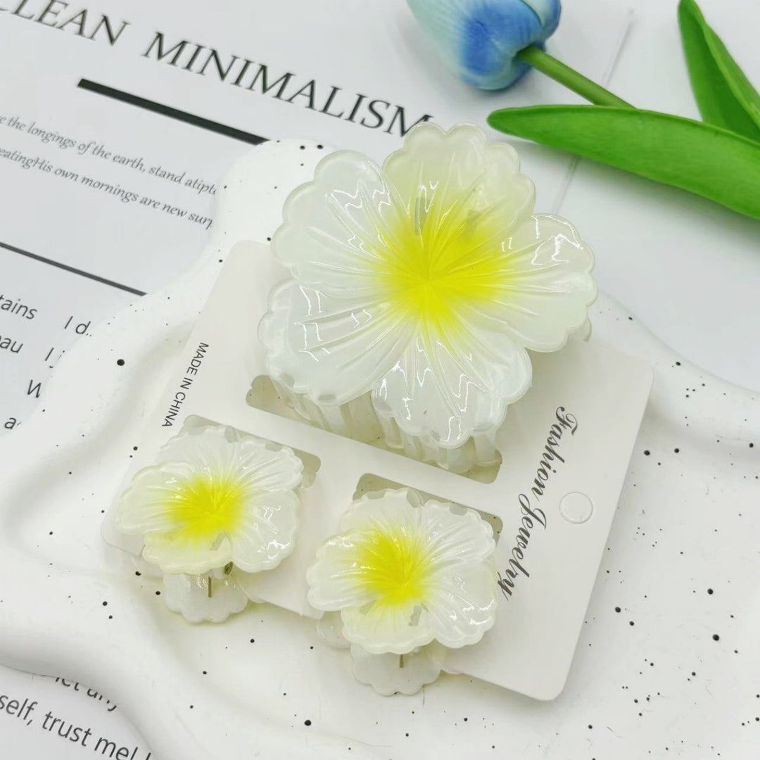 Lily gradient hair clip